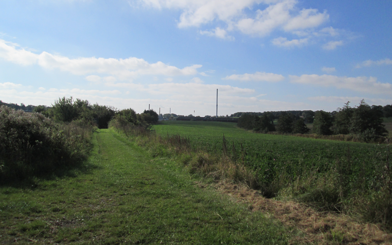 Natur på cykelruten fra Sønderborg til Skagen
