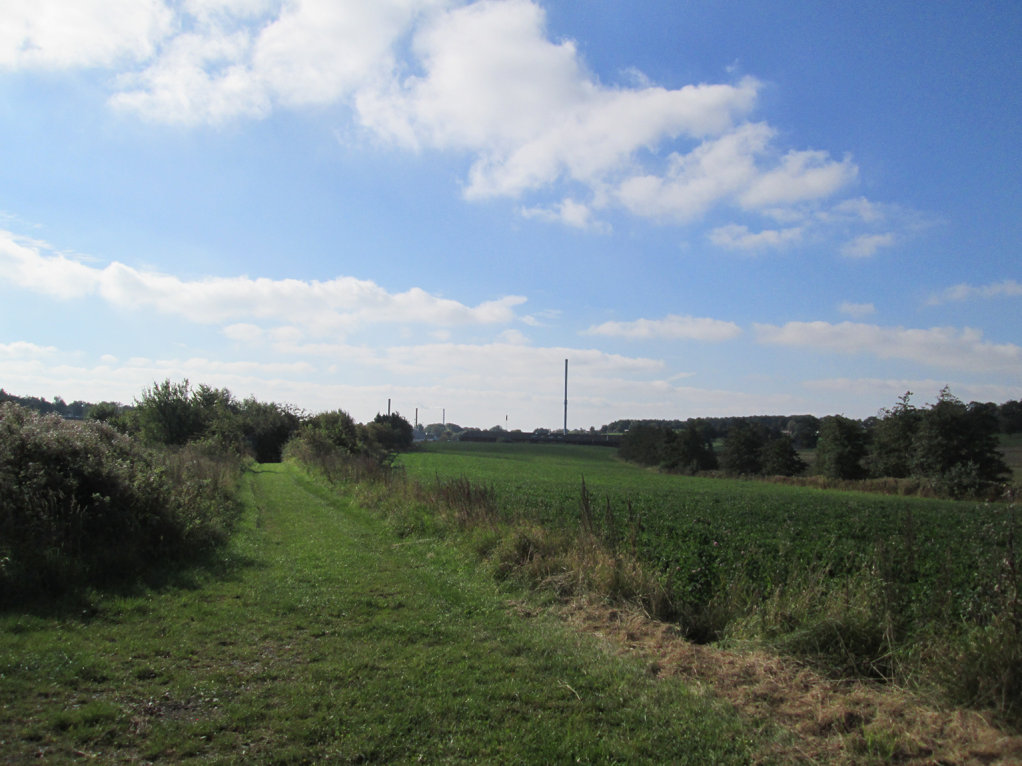 Natur på cykelruten fra Sønderborg til Skagen
