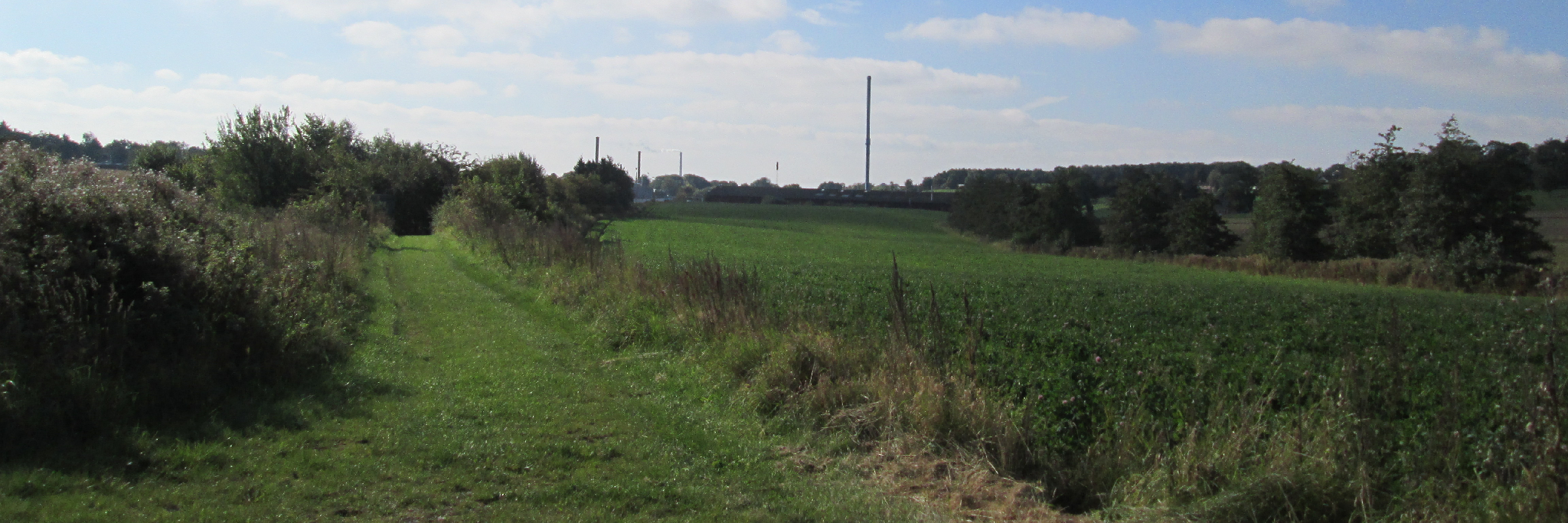 Natur på cykelruten fra Sønderborg til Skagen