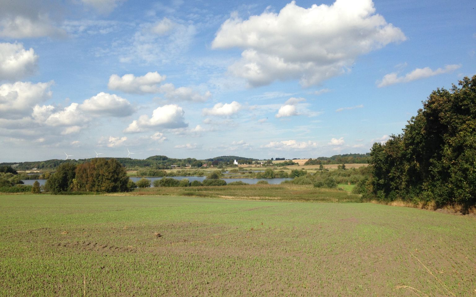 Marker og sø ved Øster Bjerregrav