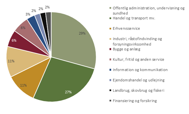 Virksomhedernes forventede jobåbninger fordelt på sektor (efterår 2024)