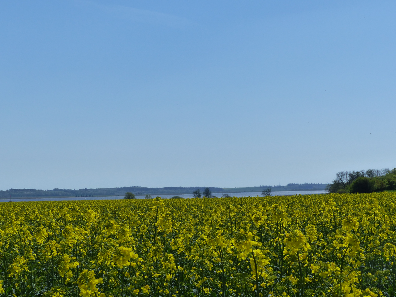 Natur på ruten fra Randers til Udbyhøj