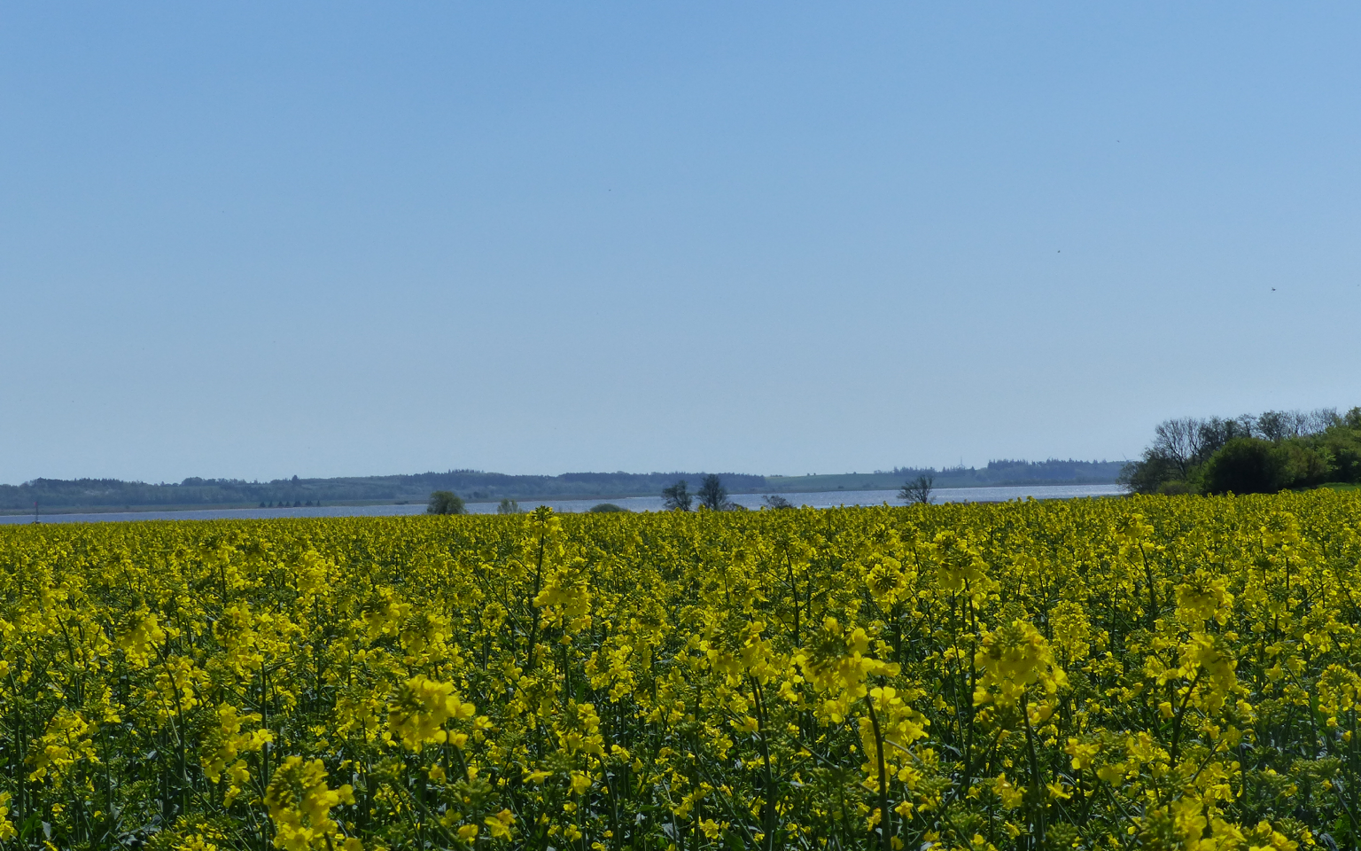 Natur på ruten fra Randers til Udbyhøj