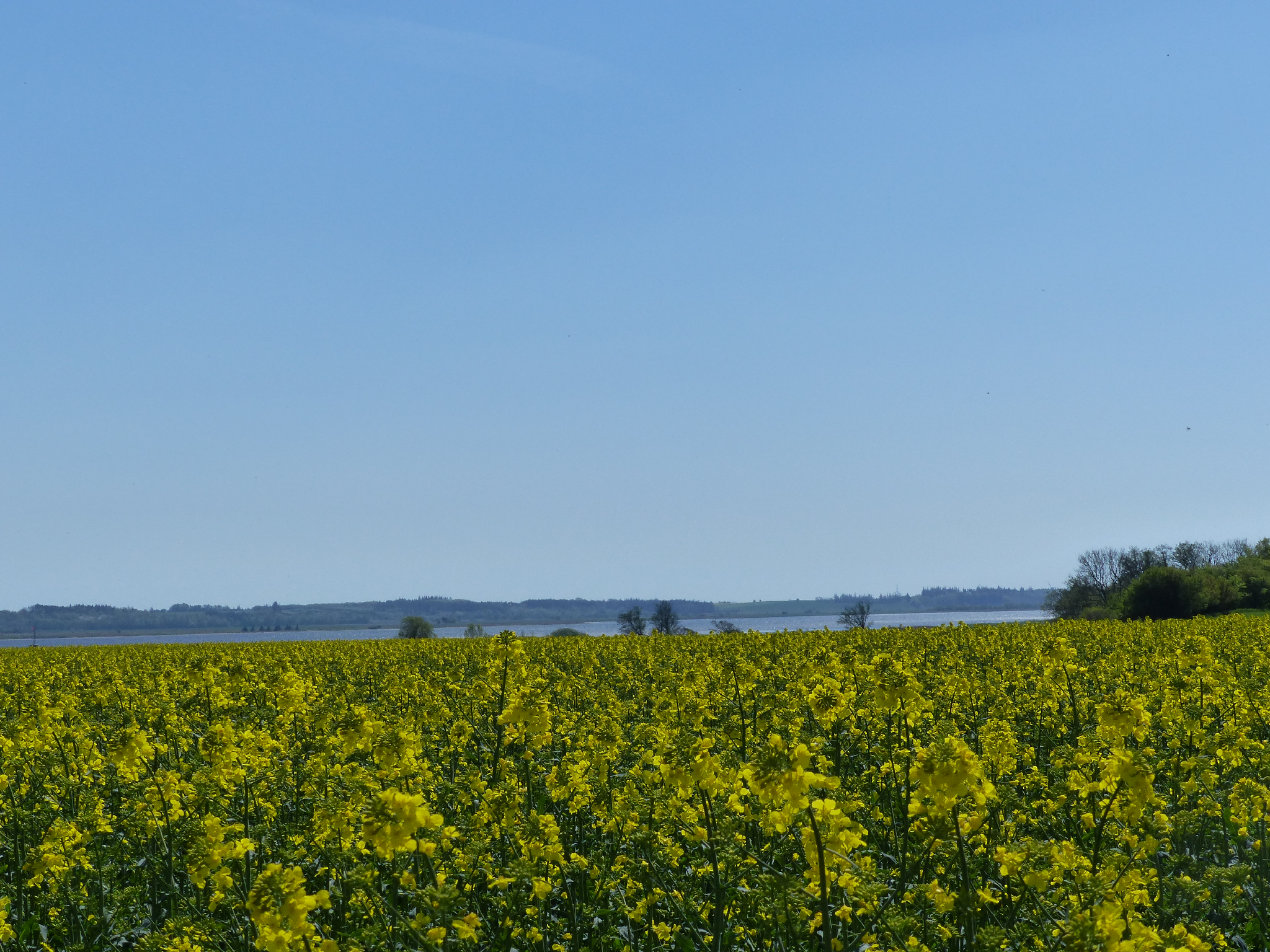 Natur på ruten fra Randers til Udbyhøj