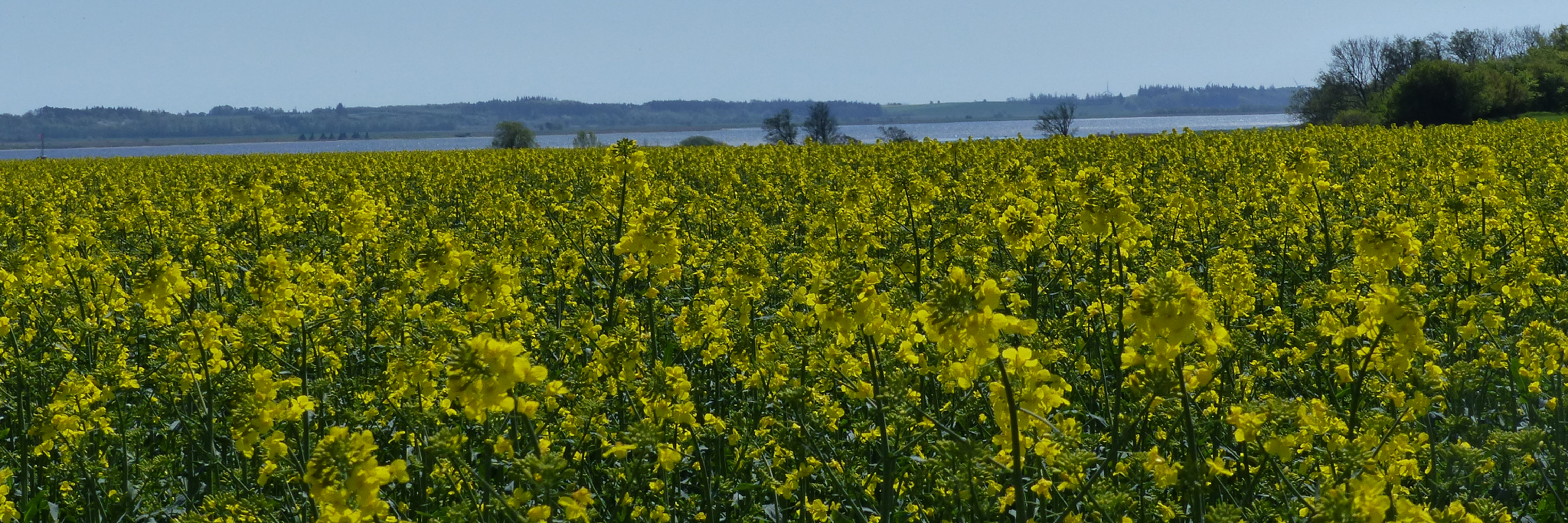 Natur på ruten fra Randers til Udbyhøj